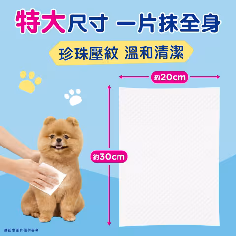 [原箱12包] 寵物純水濕紙巾 40片裝